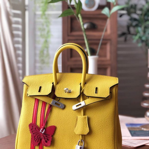 H**mes-birkin-25-17