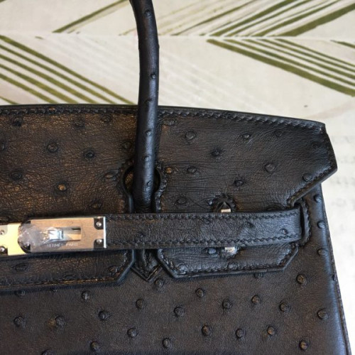 H**mes-birkin-53