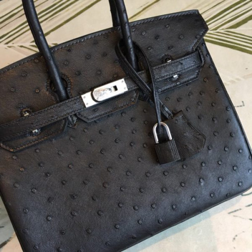 H**mes-birkin-53